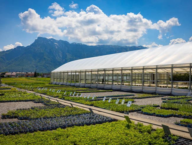 Arbeiten in der Bio-Gärtnerei am Untersberg