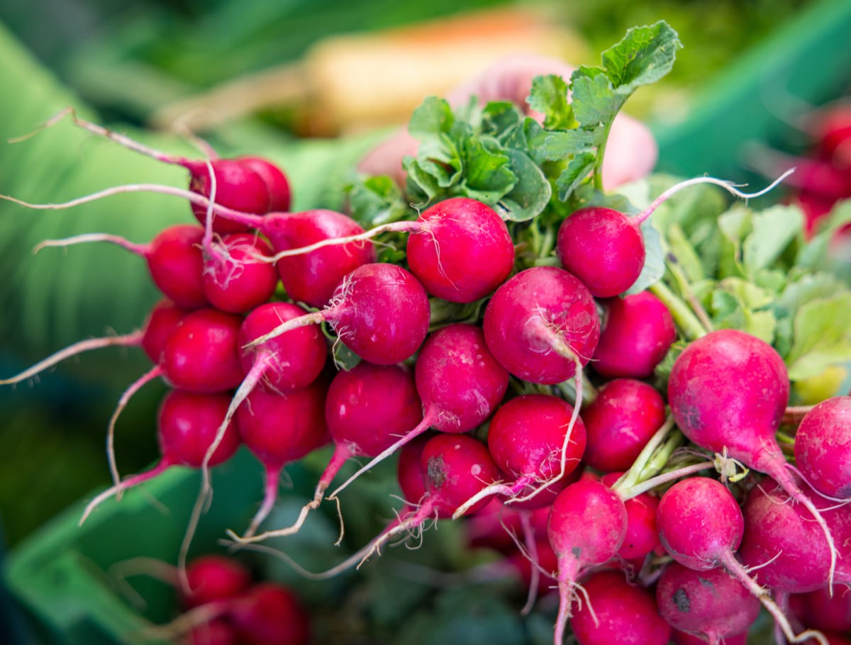 Radieschen