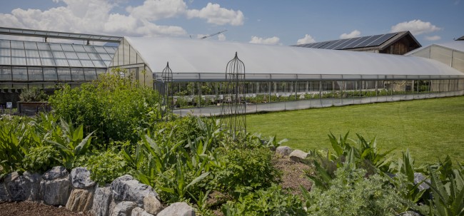 Öffnungszeiten Glashaus