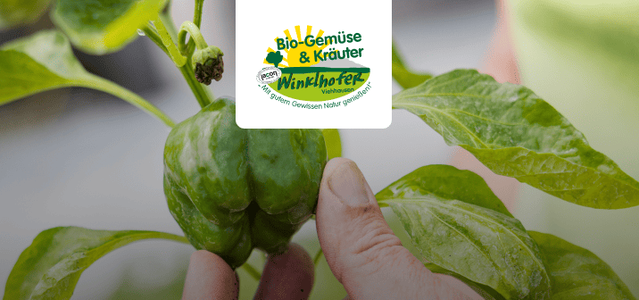 -10% auf alle Paprika- und Pfefferonipflanzen